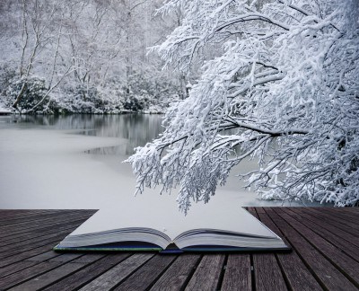 book-in-snow