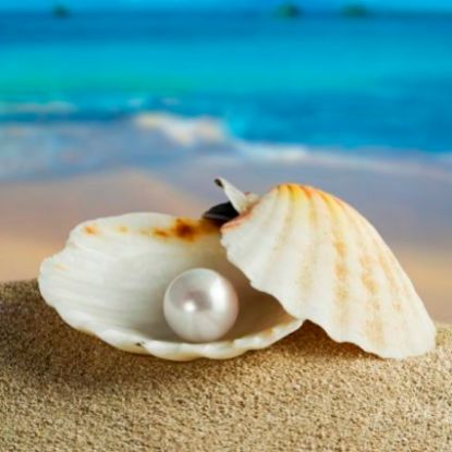 pearl-in-shell